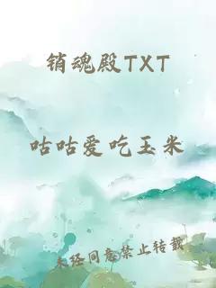 销魂殿TXT