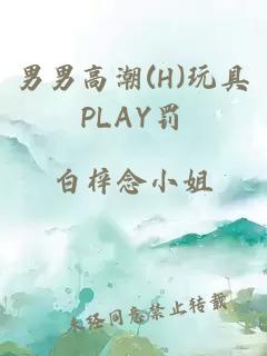 男男高潮(H)玩具PLAY罚