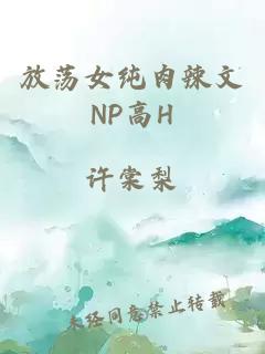 放荡女纯肉辣文NP高H