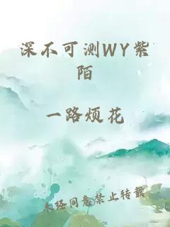 深不可测WY紫陌