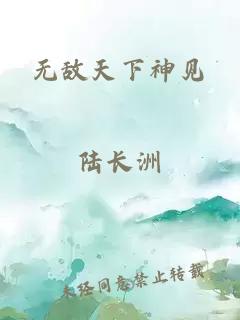 无敌天下神见