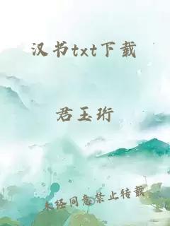 汉书txt下载