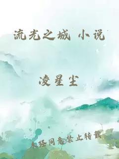 流光之城 小说