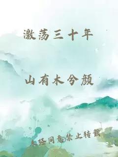 激荡三十年