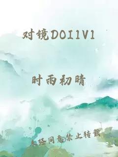 对镜DOI1V1