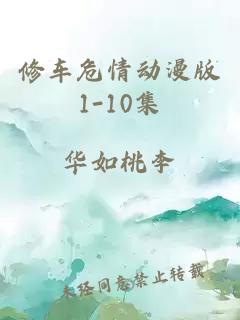 修车危情动漫版1-10集