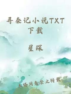 寻秦记小说TXT下载