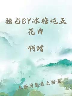 独占BY冰糖炖五花肉