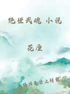 绝世武魂 小说