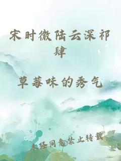 宋时微陆云深祁肆