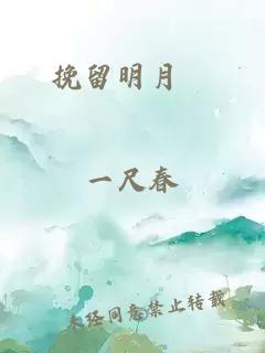 挽留明月珰