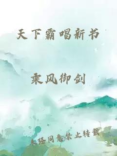 天下霸唱新书