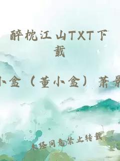 醉枕江山TXT下载