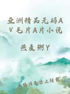 亚洲精品无码AⅤ毛片A片小说