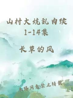 山村大炕乱肉续1-14集