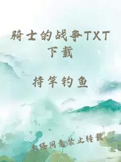 骑士的战争TXT下载