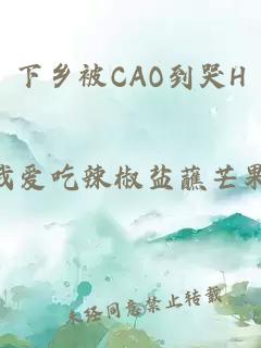 下乡被CAO到哭H