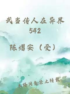 武当传人在异界542