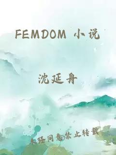 FEMDOM 小说