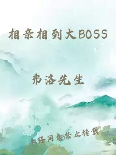 相亲相到大BOSS