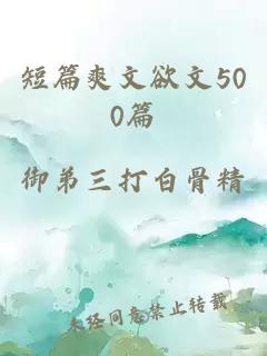 短篇爽文欲文500篇