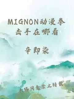 MIGNON动漫拳击手在哪看