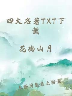 四大名著TXT下载