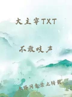 大主宰TXT