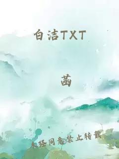 白洁TXT