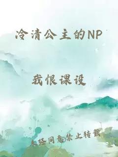 冷清公主的NP