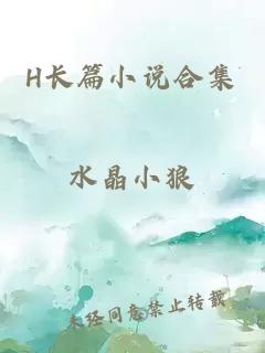 H长篇小说合集