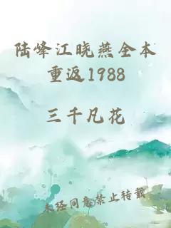 陆峰江晓燕全本重返1988