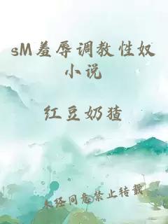 sM羞辱调教性奴小说