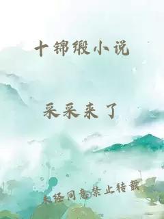 十锦缎小说