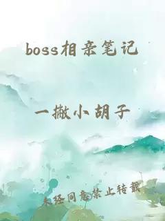 boss相亲笔记