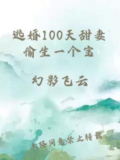 逃婚100天甜妻偷生一个宝