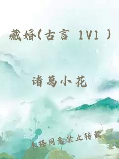 藏婚(古言 1V1 )