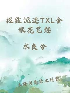 极致沉迷TXL金银花笔趣