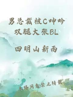 男总裁被C呻吟双腿大张BL