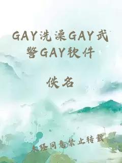 GAY洗澡GAY武警GAY软件