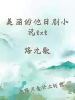 美丽的他日剧小说txt