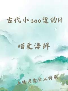 古代小sao货的H