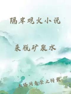 隔岸观火小说