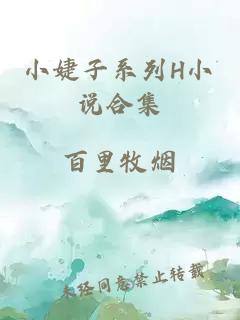 小婕子系列H小说合集