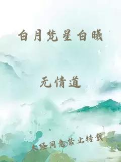 白月梵星白曦