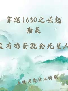 穿越1630之崛起南美