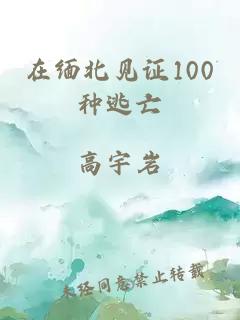 在缅北见证100种逃亡