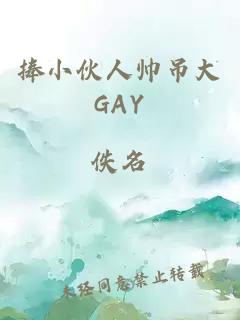 捧小伙人帅吊大GAY