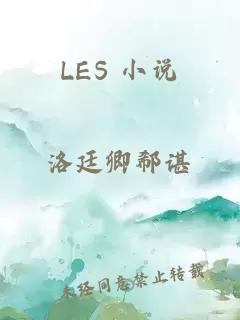 LES 小说