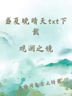 盛夏晚晴天txt下载